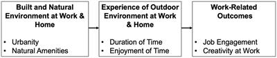 Engaging with nature and work: associations among the built and natural environment, experiences outside, and job engagement and creativity